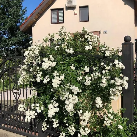 Goscinne Na Wodnej * Lidzbark Welski